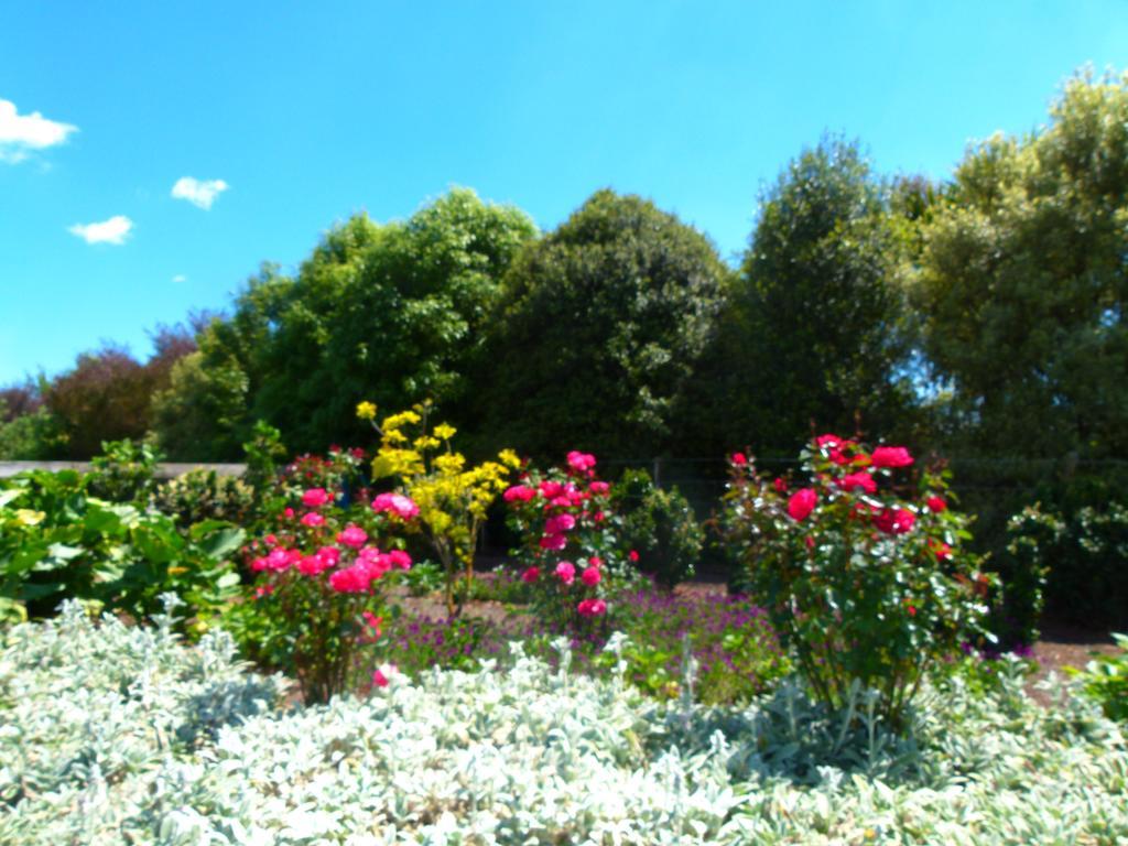 Hadleigh Boutique Lodge Tamahere Exteriör bild