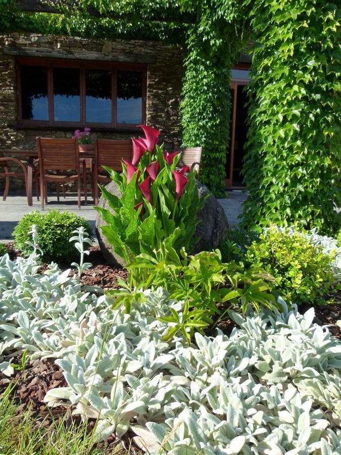 Hadleigh Boutique Lodge Tamahere Exteriör bild
